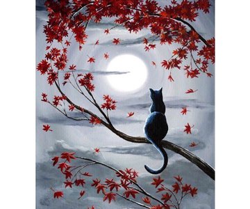 Которая гуляет сама по себе