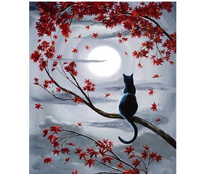 Которая гуляет сама по себе